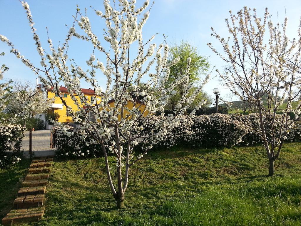 Osteria Da Cesare E Locanda Castel San Pietro Terme Eksteriør billede